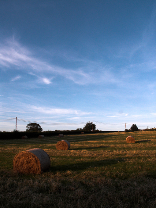 pict7101-01.jpg