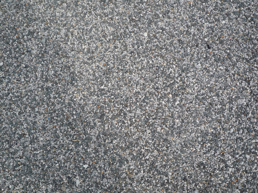 P1020290.jpg