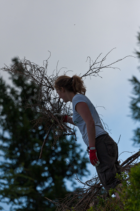 3004_iso400_2010-07-20_-_10_25_53.jpg