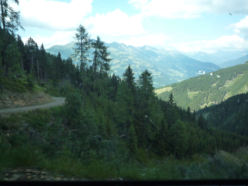 P1020331.jpg