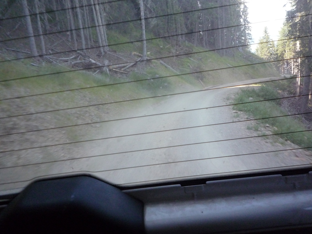 P1020472.jpg