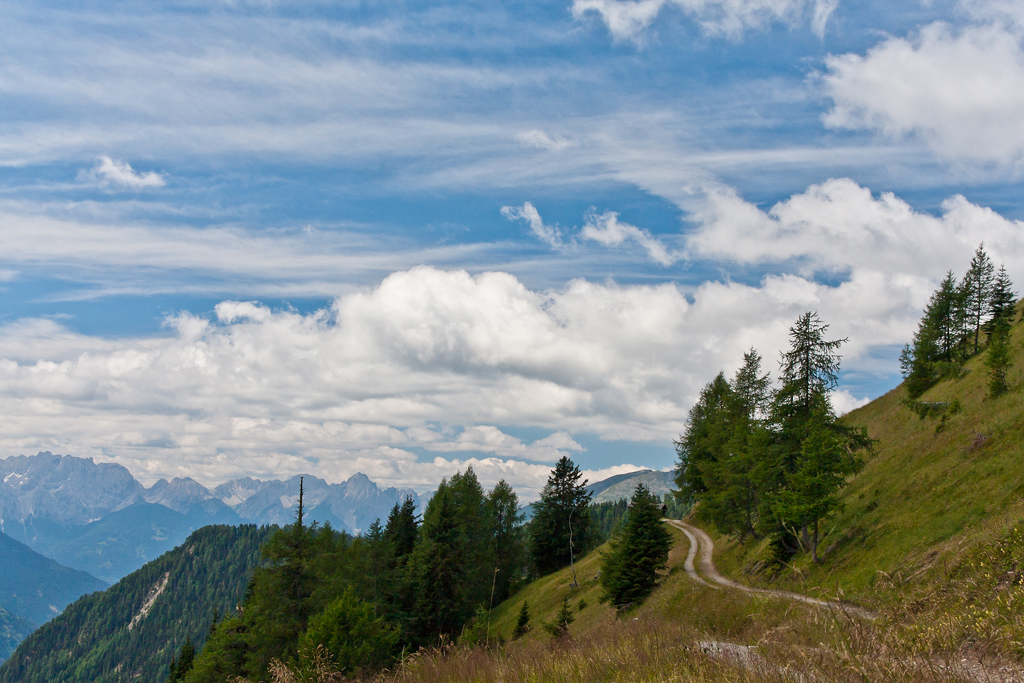 3479_iso250_2010-07-25_-_11_42_24.jpg