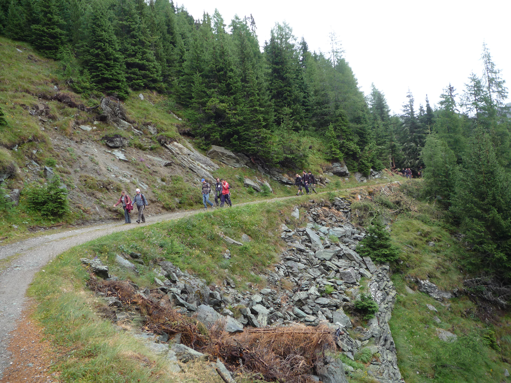 P1020504.jpg